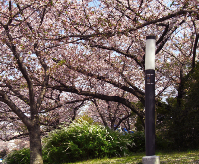 公園・施設・景観用 LED照明